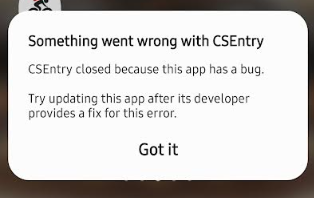 CSEntryAudioRecordingBug.png